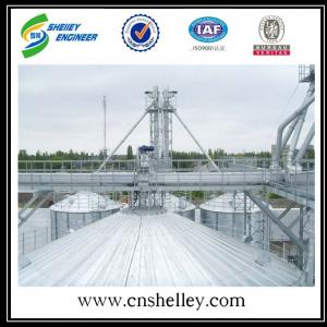 10-20t/h散糧專用鏈?zhǔn)郊Z食刮板機(jī)