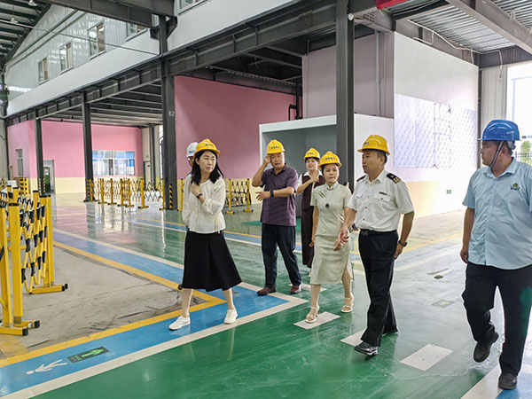 海關(guān)和貿(mào)促會(huì)領(lǐng)導(dǎo)蒞臨山東雪萊工廠參觀考察，泰安電視臺(tái)跟蹤采訪